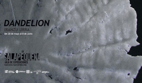 Dandelion. Iranzu Urra. Ciclo SALAPEQUEÑA.