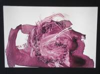 Taller “En letra grande”