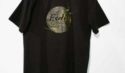 Exposición Virtual de Camisetas y Bolsas de la Esdir