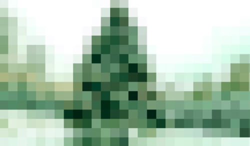 CONCURSO TARJETA NAVIDEÑA DE LA ESDIR 2013