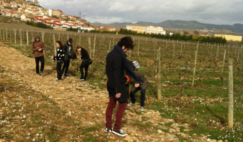 Taller con Brosmind en el Museo Vivanco.