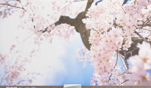 ZONGWEN YUAN, DE DISEÑO DE PRODUCTO, ENTRE LOS TOP 70 DE ELECTROLUX