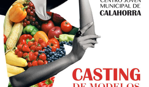 Cartel del casting de modelos para la IV Pasarela “Ciudad de la Verdura”
