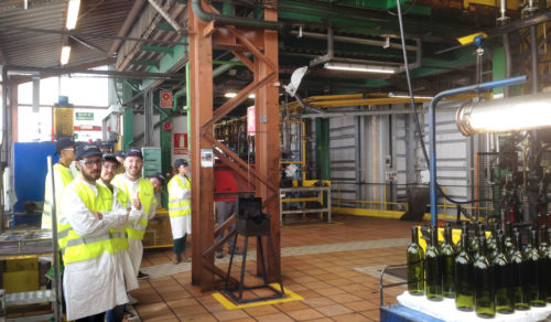 DISEÑO DE PRODUCTO EN LA FÁBRICA DE VIDRIO VERALLIA BURGOS