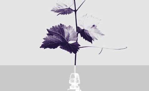 BASES DEL IX PREMIO DE GRABADO Y VINO FUNDACIÓN VIVANCO