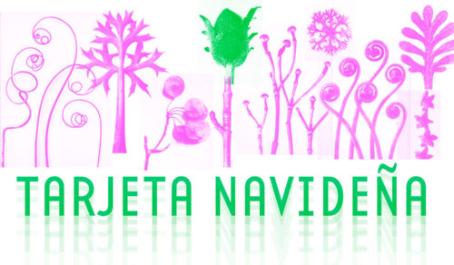 CONCURSO TARJETA NAVIDEÑA