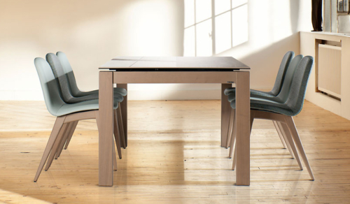 Discalsa en la Esdir