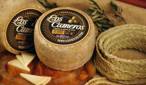 Jornada sobre Packaging para queso en el Máster de Packaging