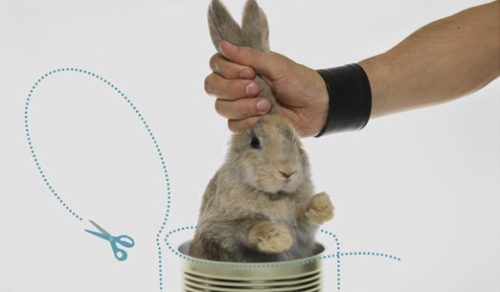 III EXPOSICIÓN DE OBJETO: LA LATA