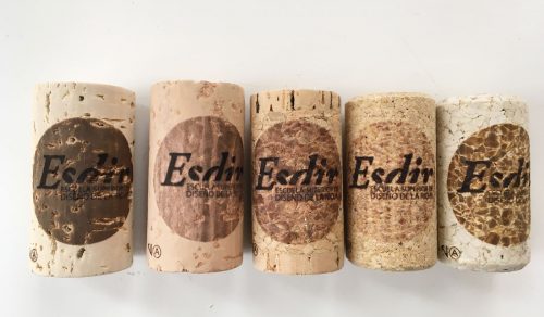 Jornada técnica tapones Victor&Amorim en el Máster de Packaging