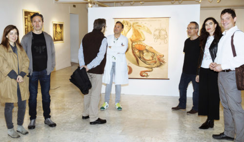 Exposición: Aprendiendo en el XIX. Colección de láminas del Sagasta.