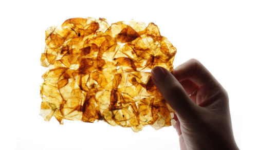 Crónica de la Project Week 9.