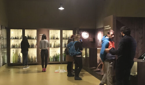 Introducción a la Cultura del Vino en el Museo Vivanco