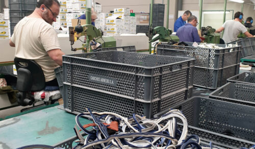 El Máster Calzado en Cauchos Arnedo