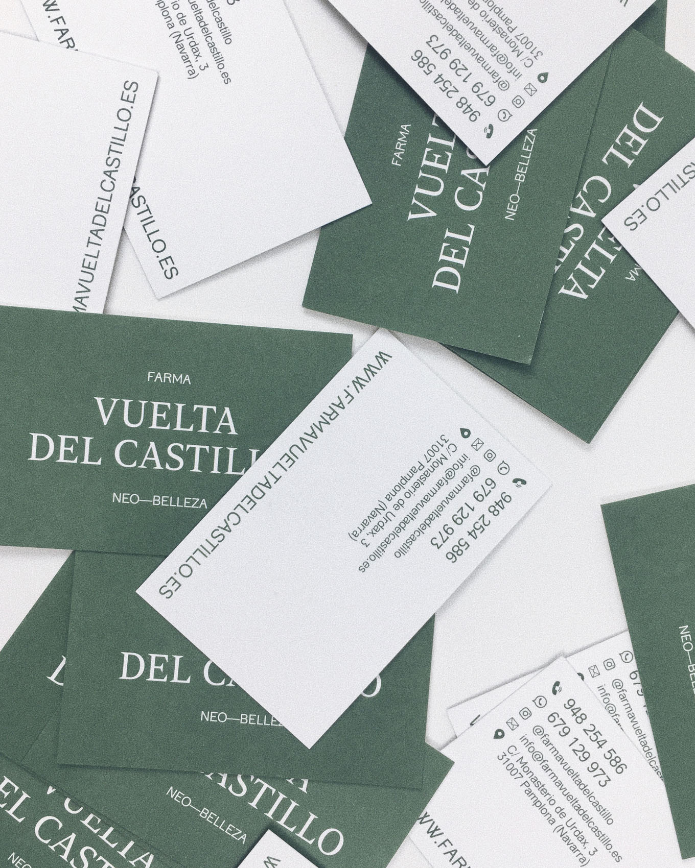 Bonita Estudio en 1º de Gráfico