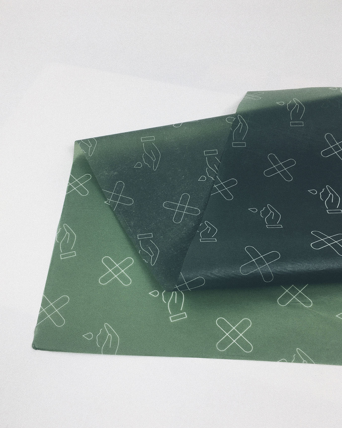 Bonita Estudio en 1º de Gráfico