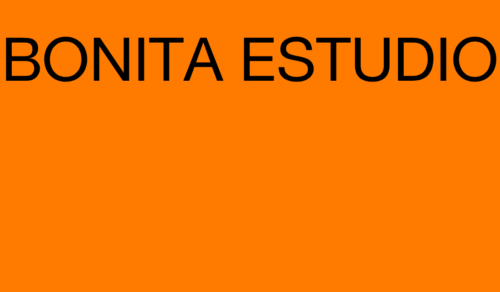 Bonita Estudio en 1º de Gráfico