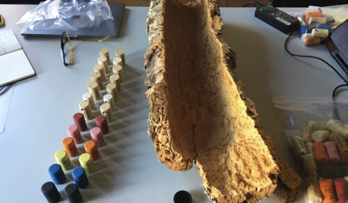 Sesión técnica Víctor y Amorim