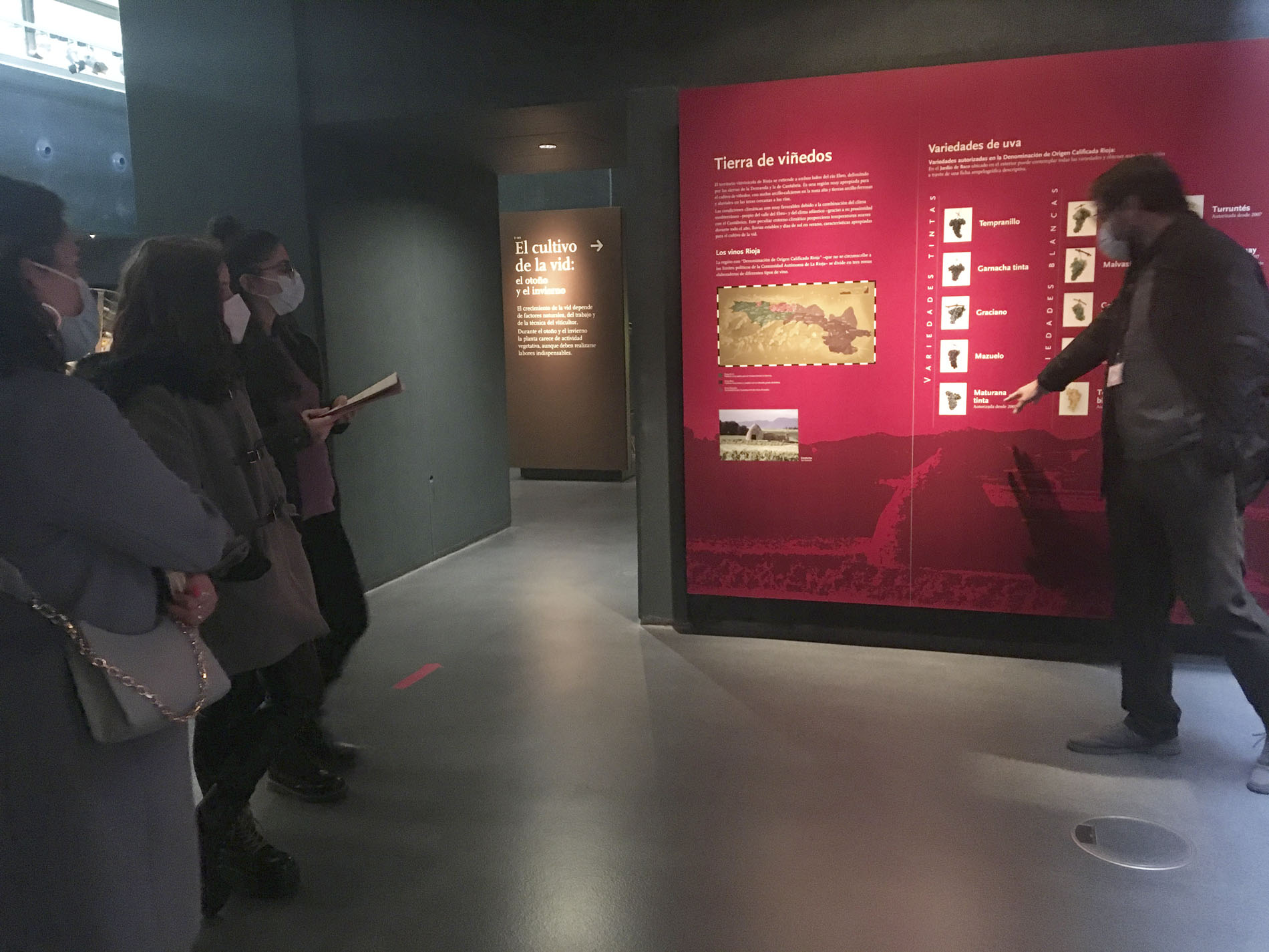 Visita de Packaging Vitivinícola al Museo Vivanco