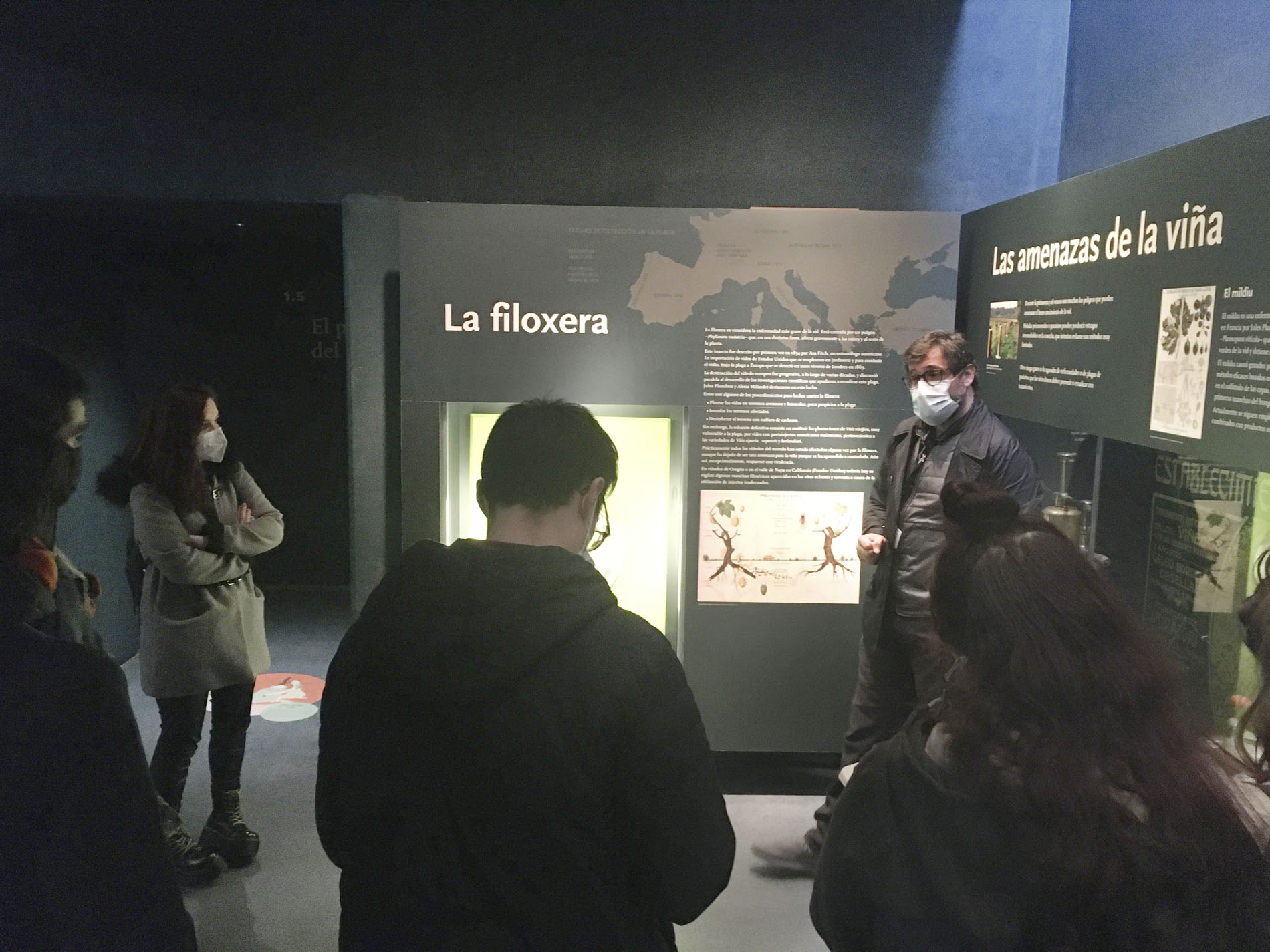 Visita de Packaging Vitivinícola al Museo Vivanco