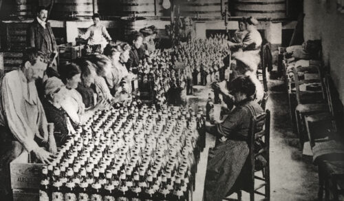 Visita de Packaging Vitivinícola al Museo Vivanco