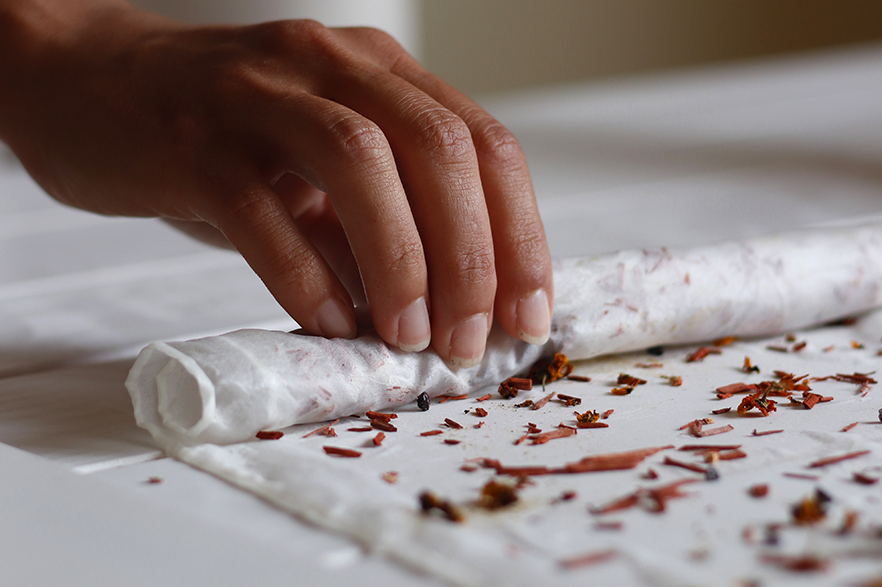 "Savia de Oro" en Diseño de Moda