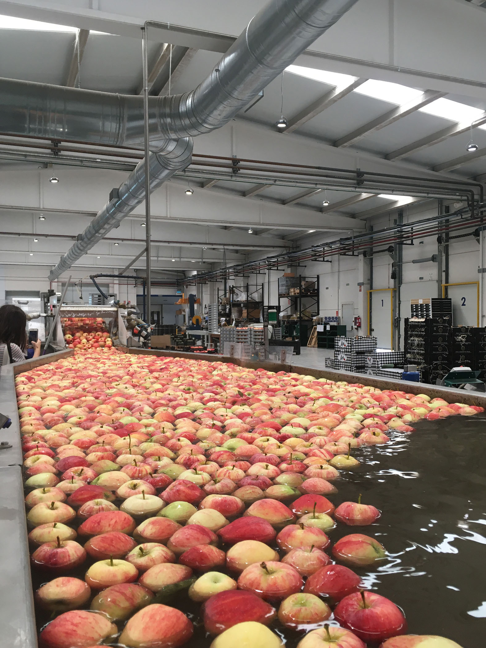 El Máster de Packaging y las manzanas Finca Señorío de Rioja