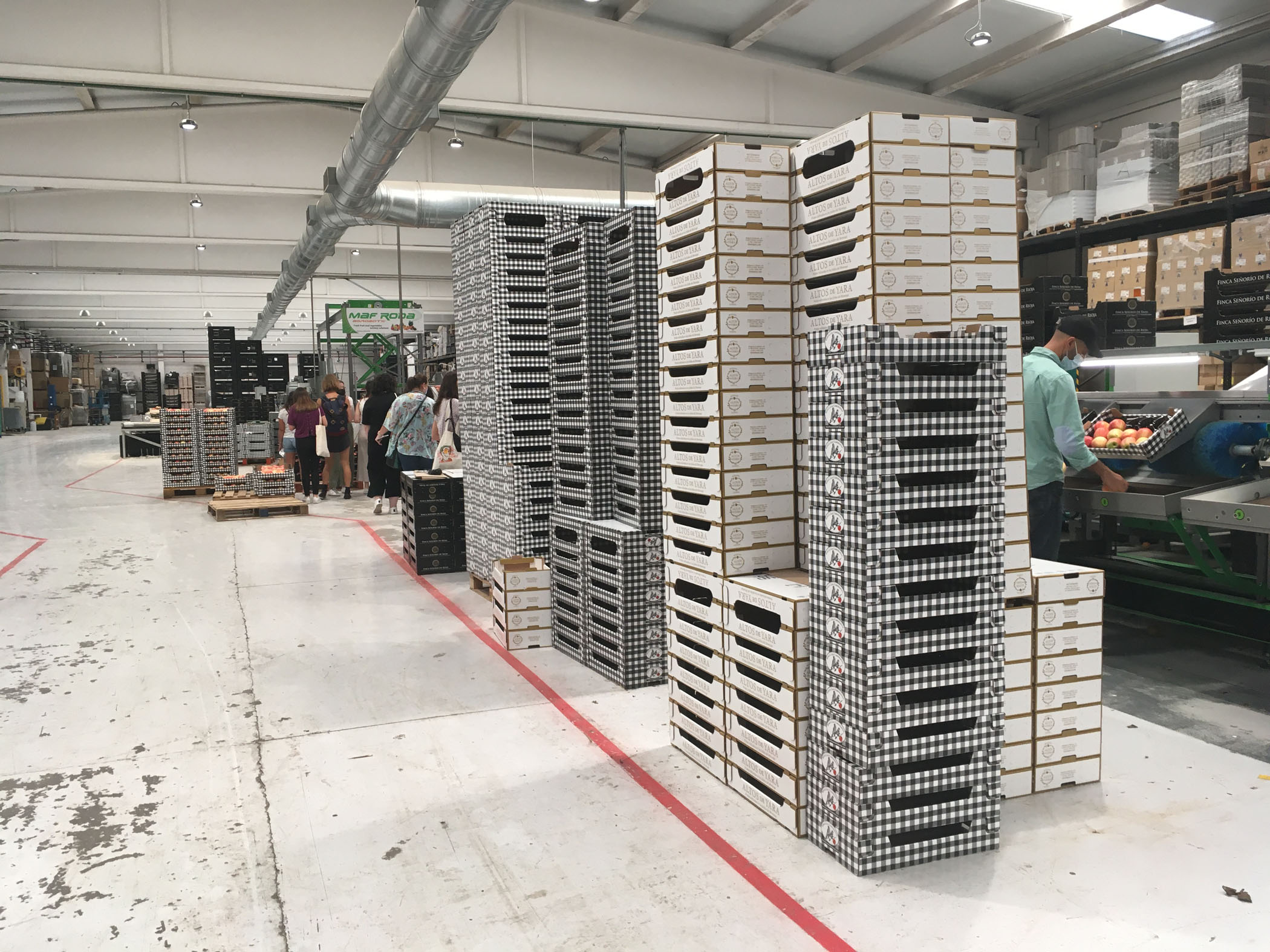 El Máster de Packaging y las manzanas Finca Señorío de Rioja