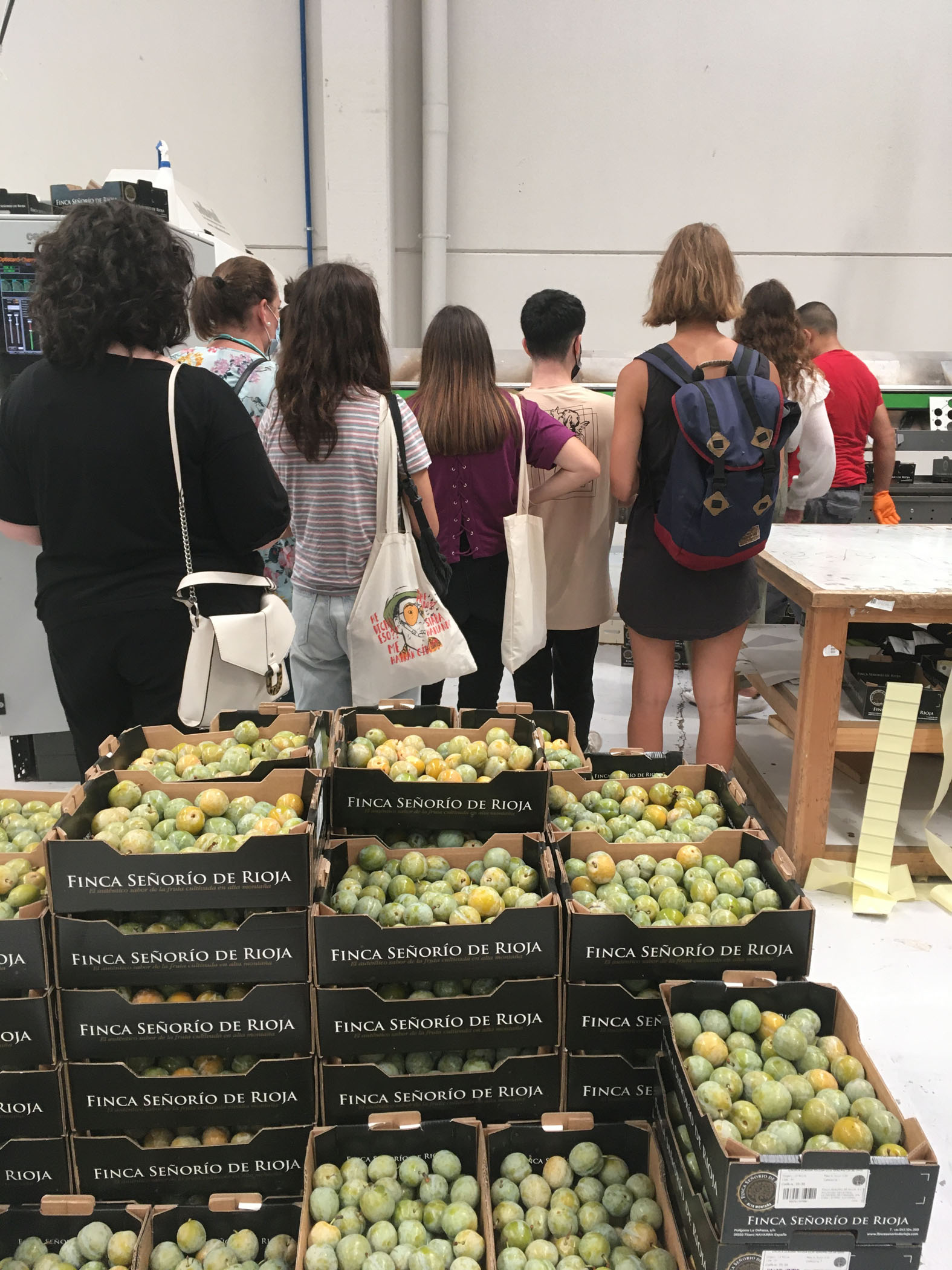 El Máster de Packaging y las manzanas Finca Señorío de Rioja