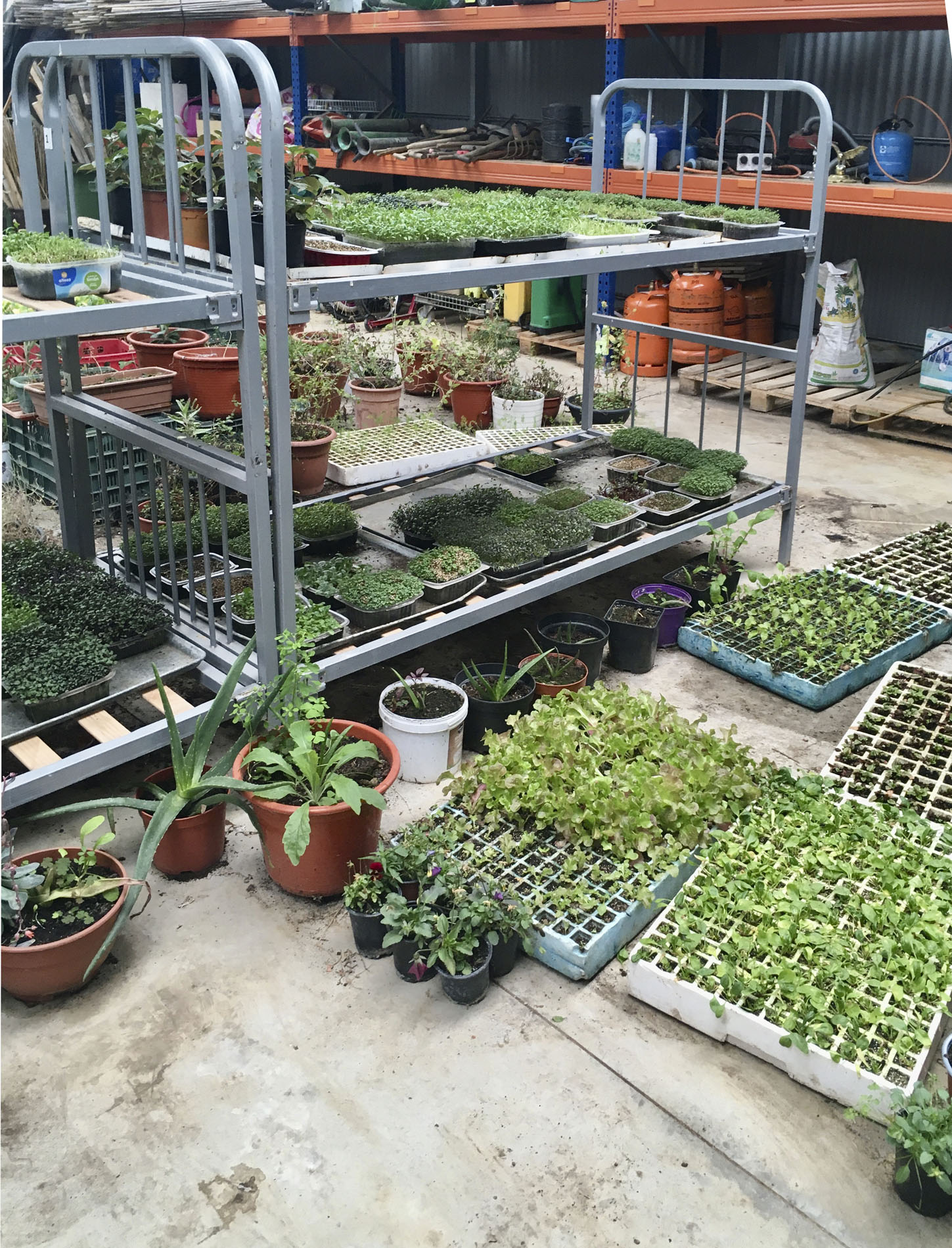 Los estudiantes del Máster de Packaging visitan la Huerta del Oja