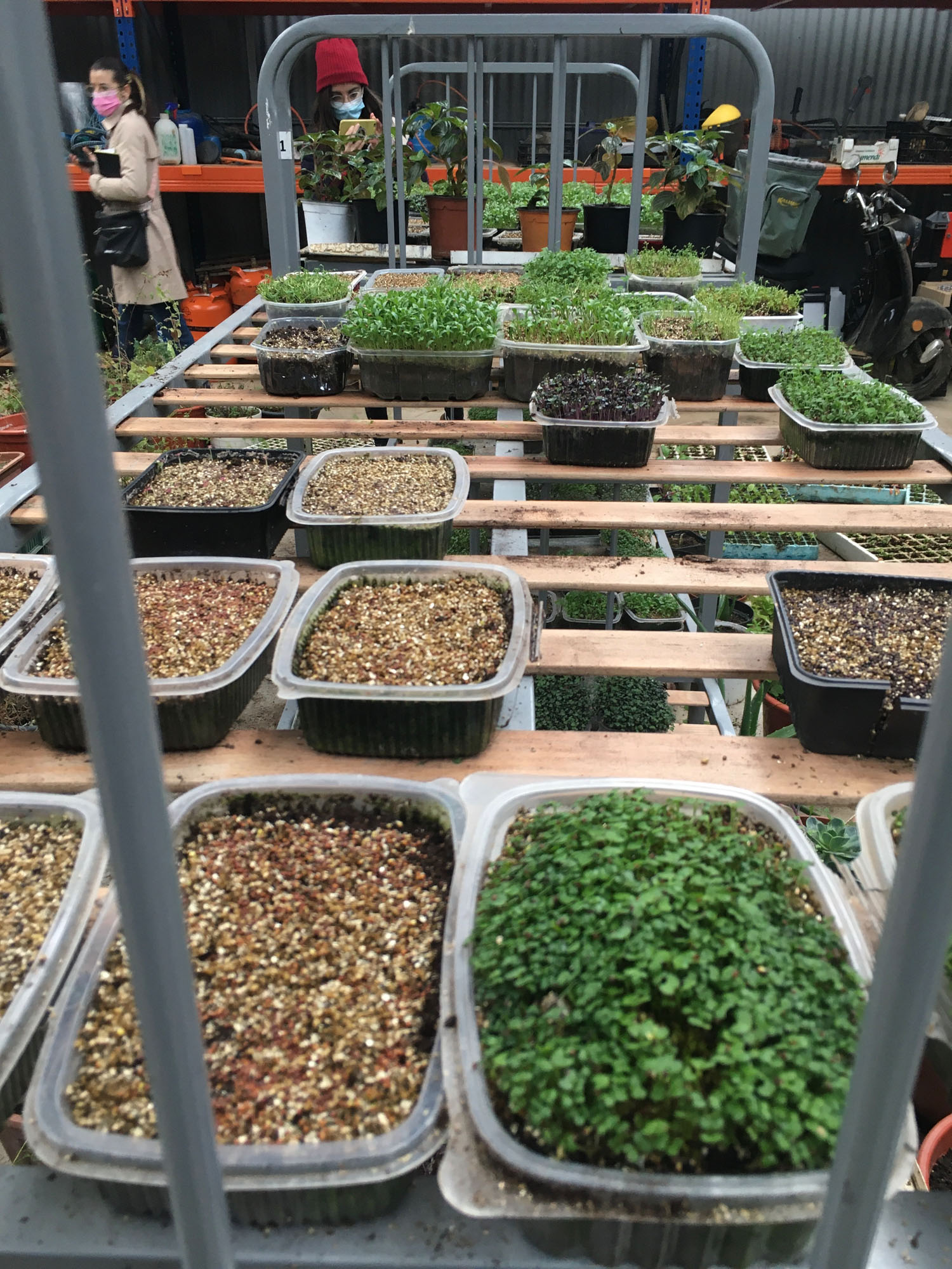 Los estudiantes del Máster de Packaging visitan la Huerta del Oja