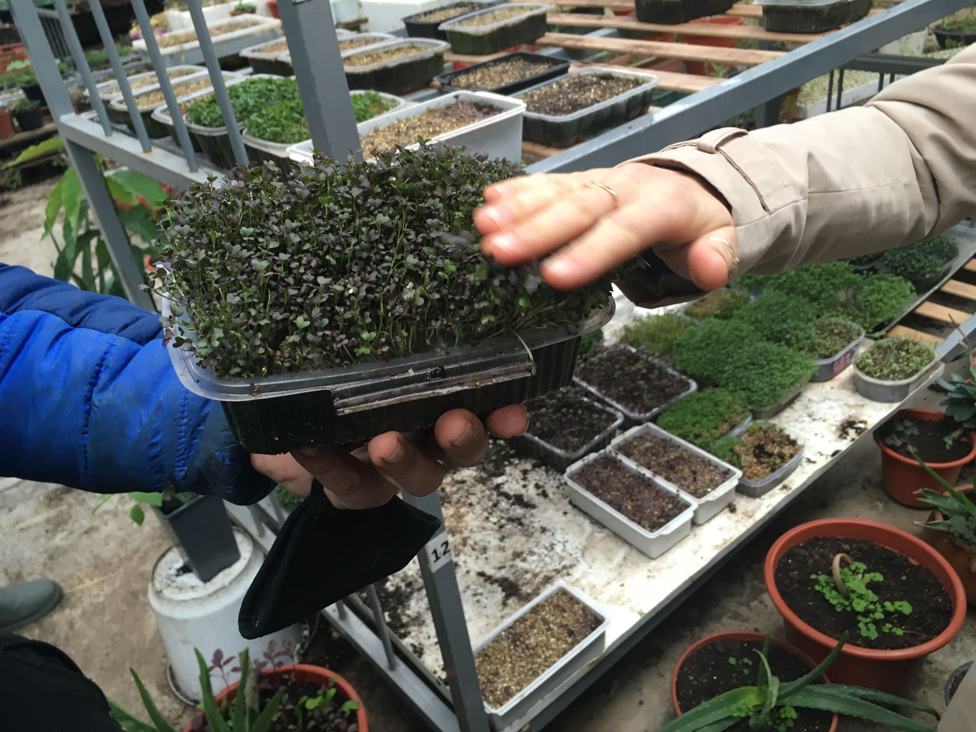 Los estudiantes del Máster de Packaging visitan la Huerta del Oja