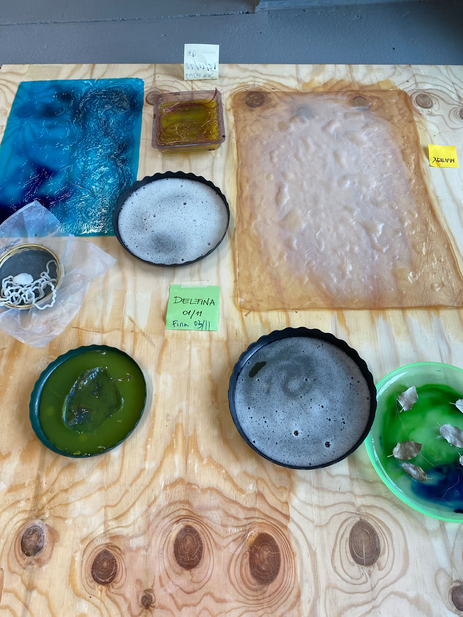 Taller “Futuro Sostenible. Biodiseño y Nuevos Materiales”