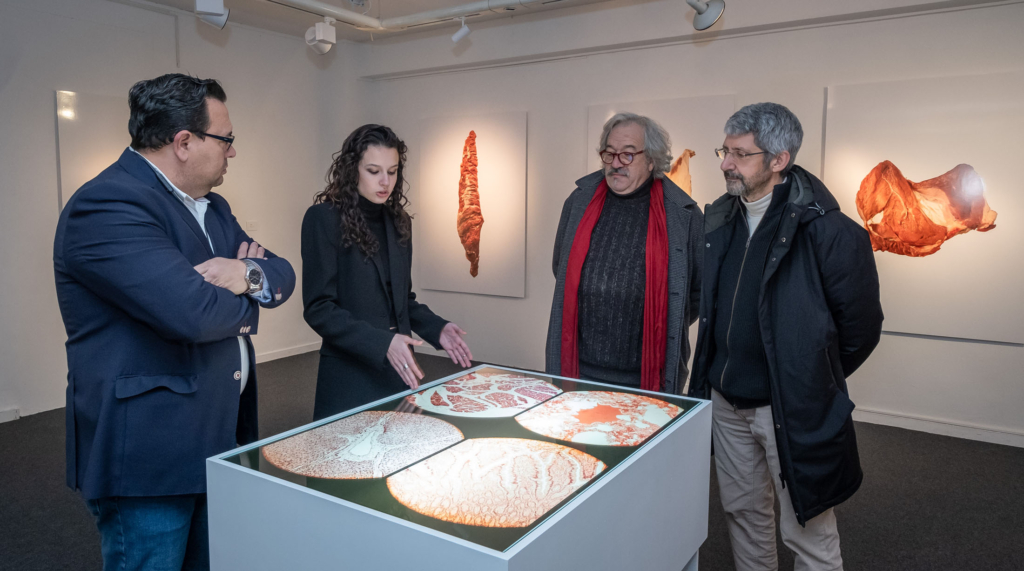 “MEAT0” de Peck Bruyel en Sala Pequeña