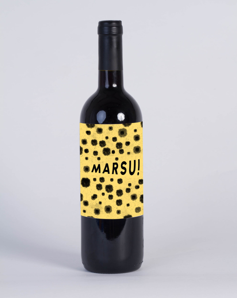 Workshop en HELHa Mons (Bélgica)