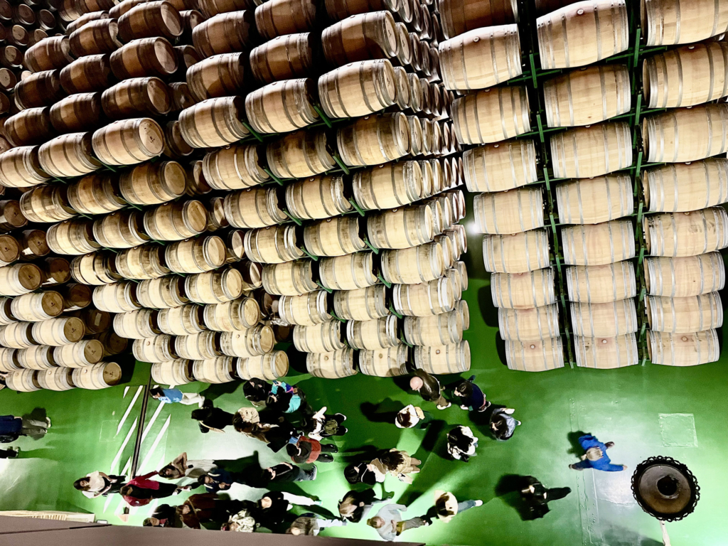 Resumen de la movilidad física del BIP “Wine Packaging design”