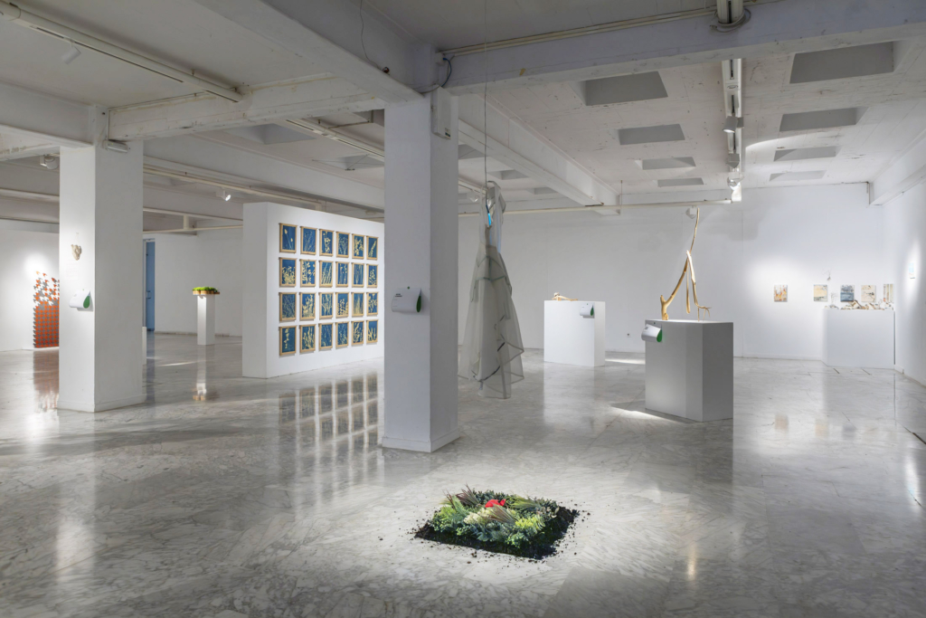 Inaugurada la exposición DISEÑO BIOFÍLICO