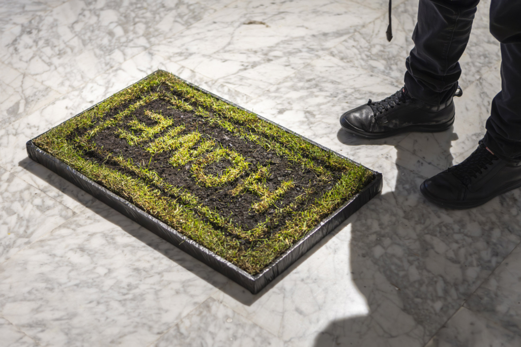 Inaugurada la exposición DISEÑO BIOFÍLICO