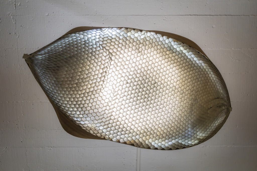 Inaugurada la exposición DISEÑO BIOFÍLICO