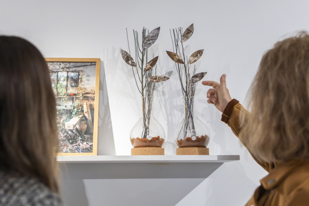 Inaugurada la exposición DISEÑO BIOFÍLICO