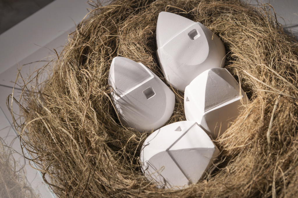 Inaugurada la exposición DISEÑO BIOFÍLICO