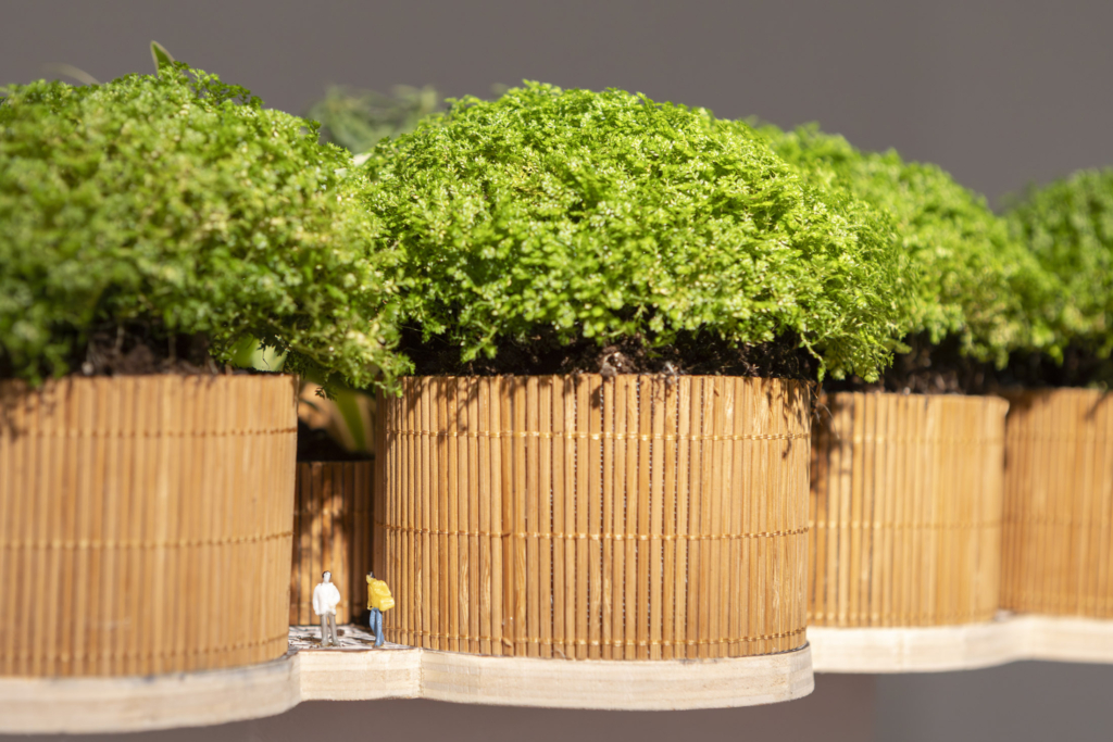 Inaugurada la exposición DISEÑO BIOFÍLICO