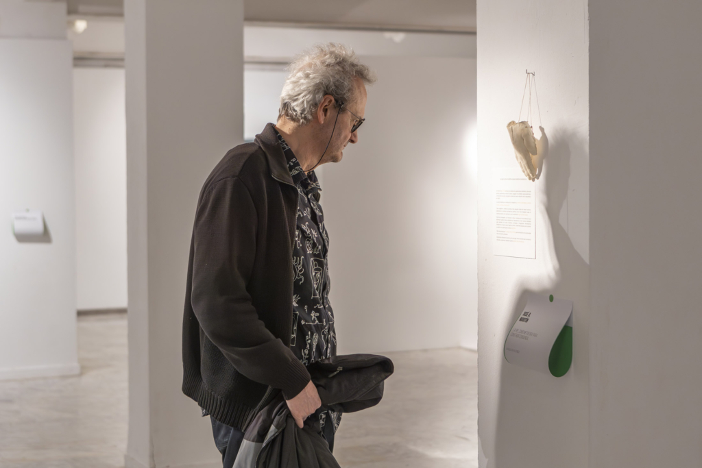 Inaugurada la exposición DISEÑO BIOFÍLICO