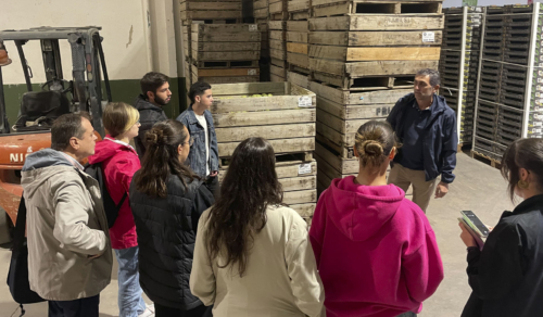 El Máster de Packaging en las instalaciones de Peras PIPIN