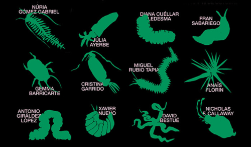 III Jornadas Invertebrados en la Esdir