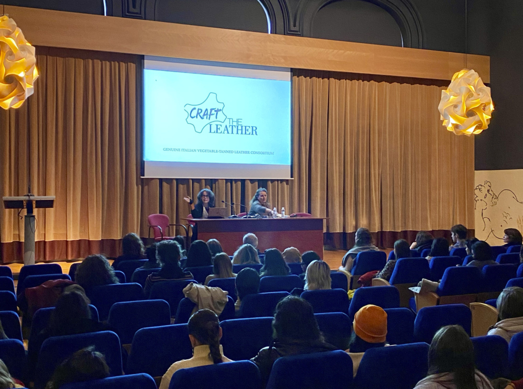 Resumen movilidad física BIP