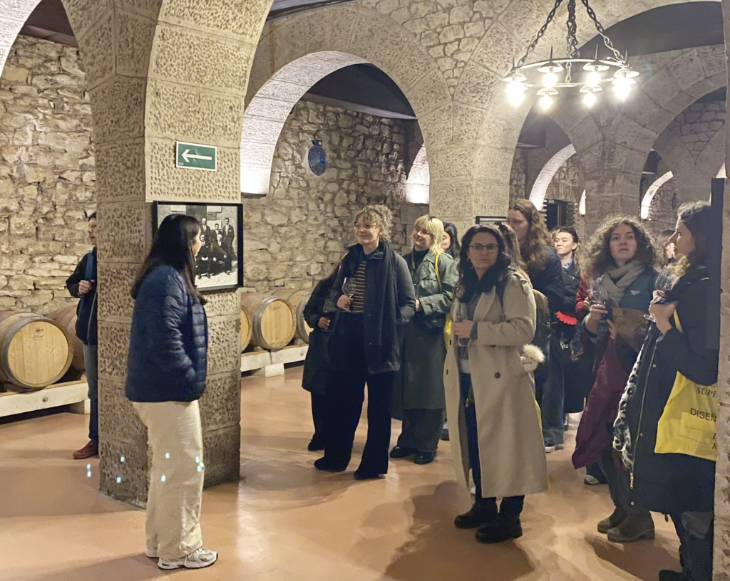 Resumen movilidad física BIP