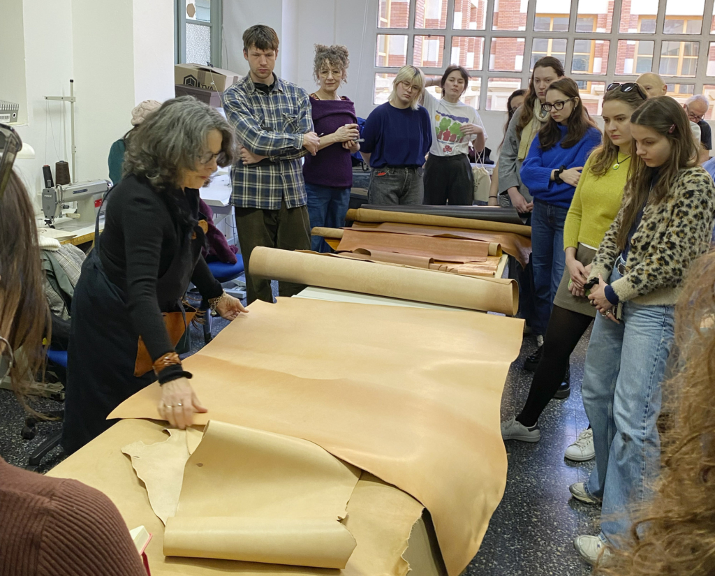 Resumen movilidad física BIP