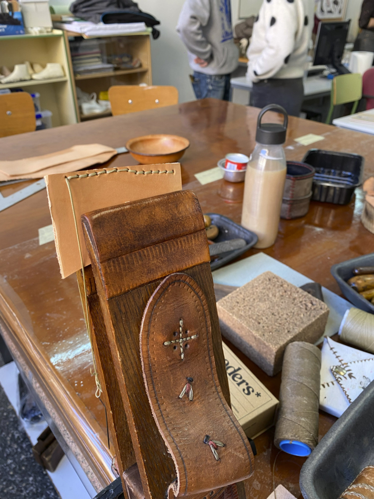 Resumen movilidad física BIP