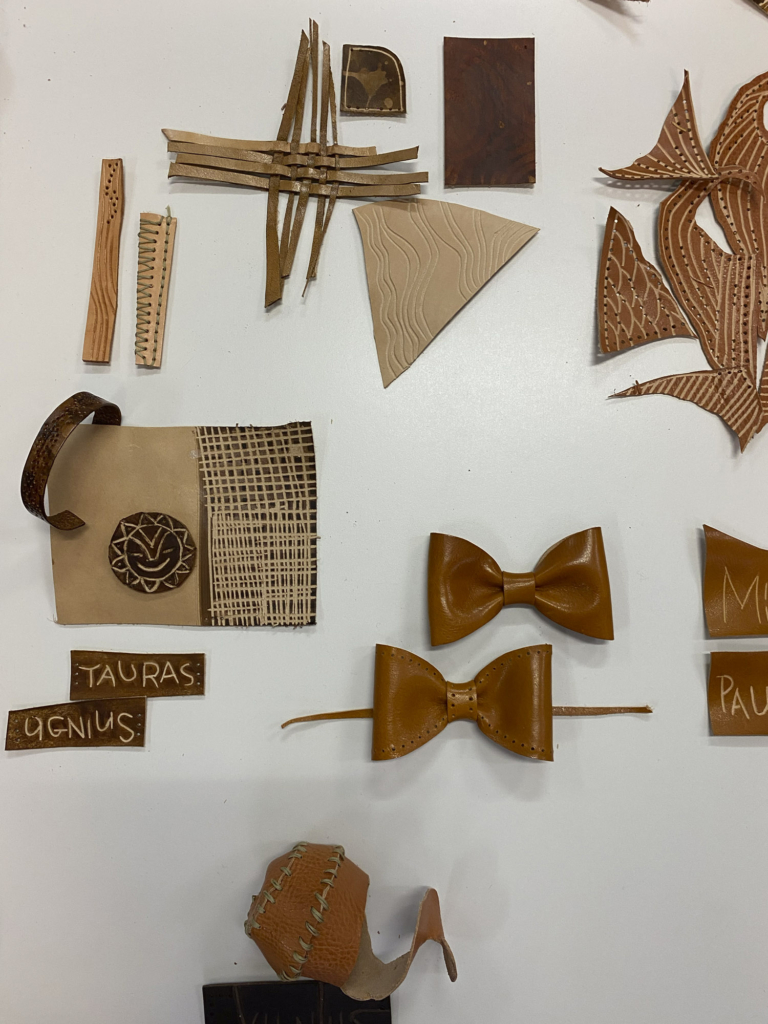 Resumen movilidad física BIP